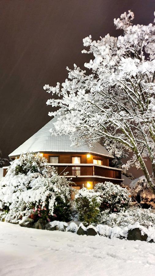 Alpine Lodge Motel Hanmer Springs Εξωτερικό φωτογραφία